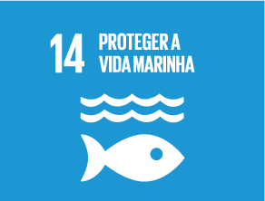 Ver mais informação